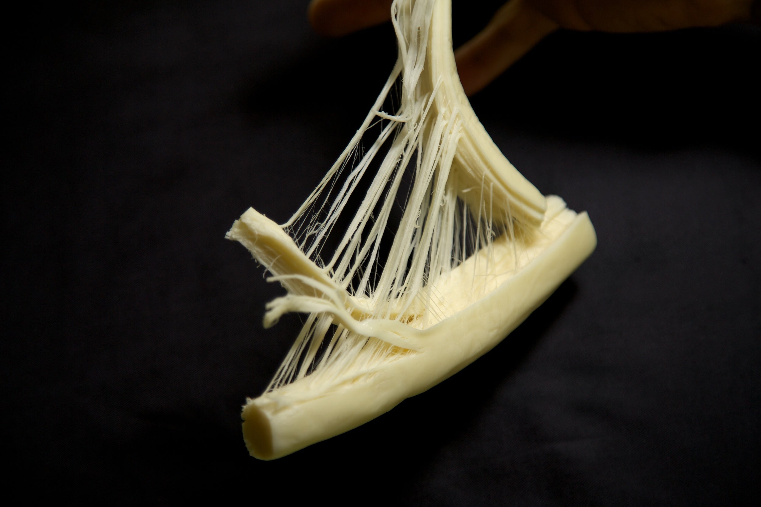 Cesar's hand pulled String Cheese – The Cheese People